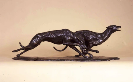 Racing Greyhounds