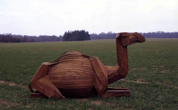 Lying Camel