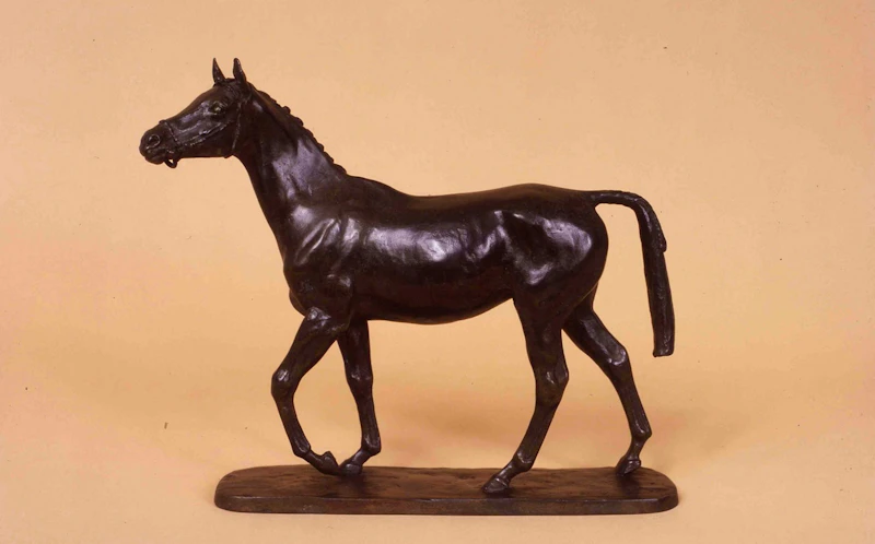 Showhorse