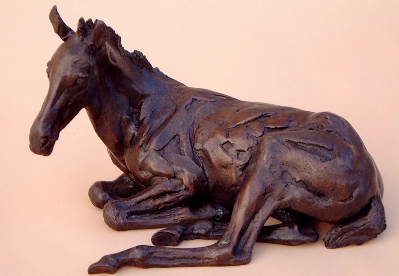 South Luffenham Foal