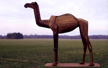 Camel