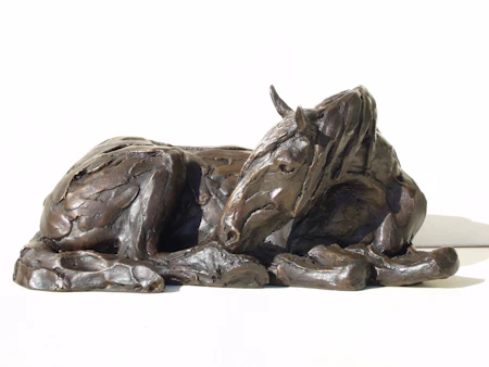 Lying Shire Horse