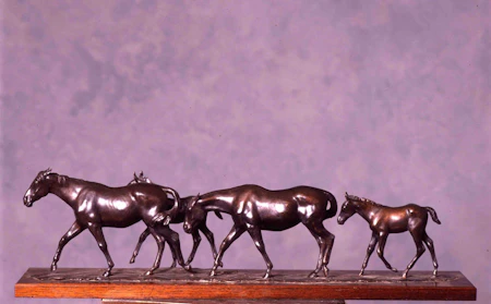 Mares and Foals
