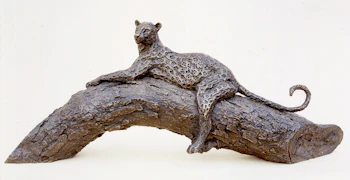 Leopard on a Branch