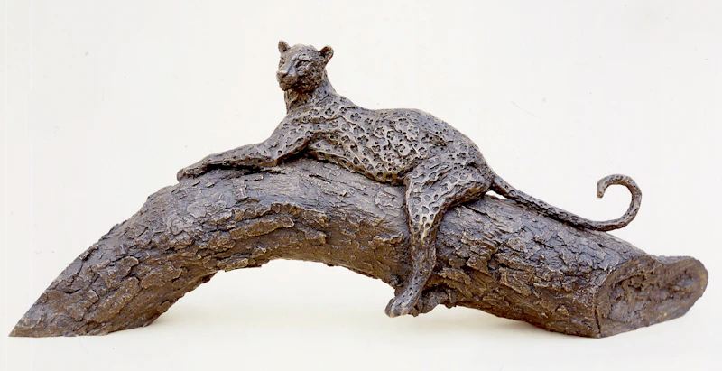 Leopard on a Branch