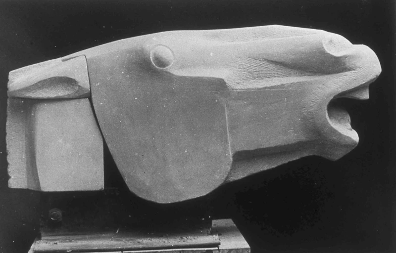 Horse's Head