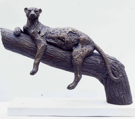 Leopard on Log