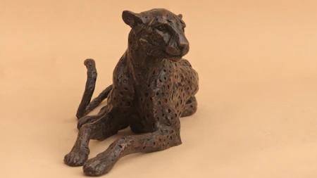 Lying Cheetah