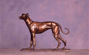 Standing Greyhound