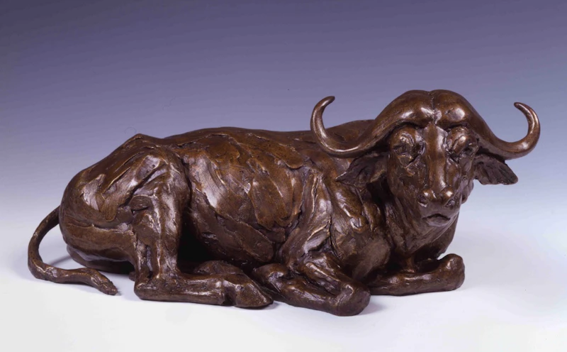 Lying Buffalo