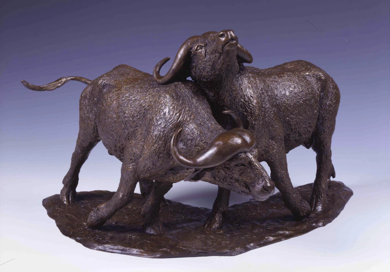 Buffalo