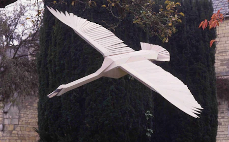 Swan