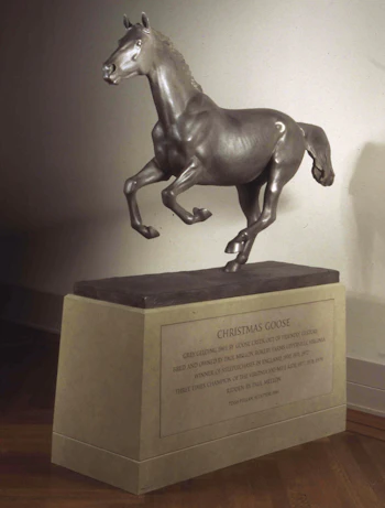 Christmas Goose