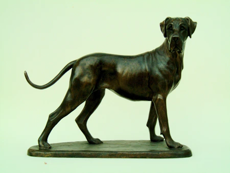 Great Dane