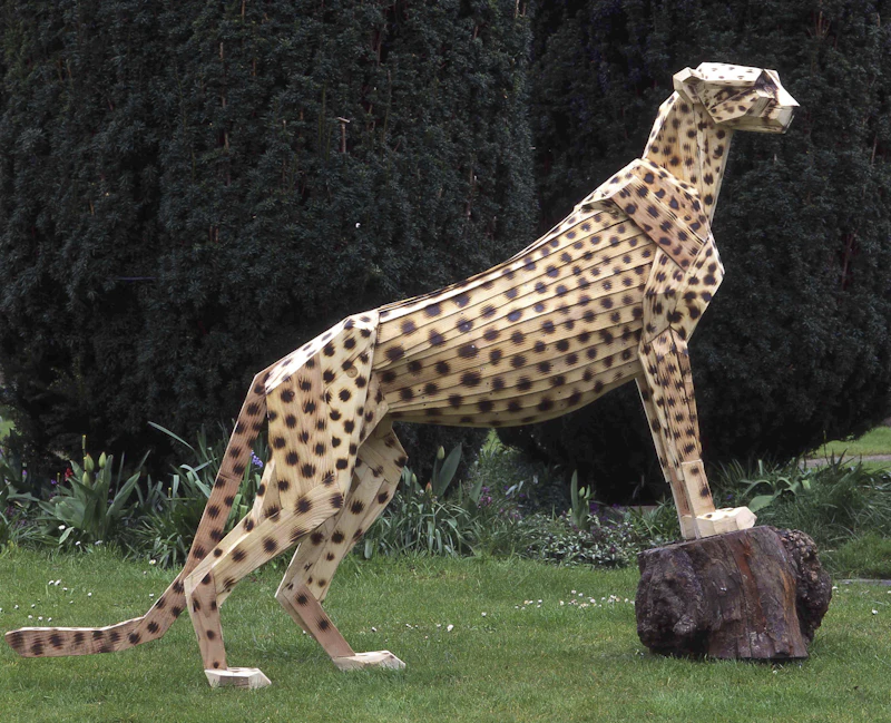 Cheetah