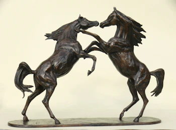 Arab Stallions Fighting