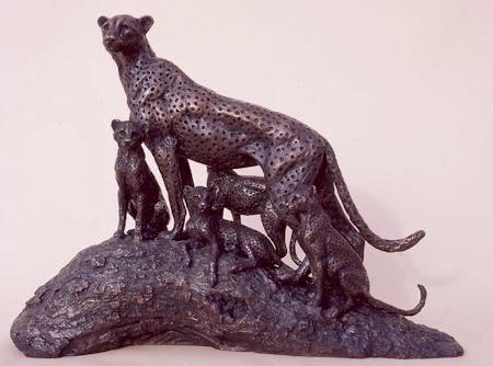 Cheetah Family