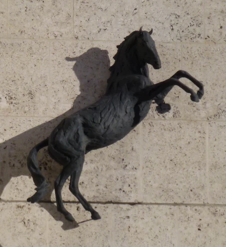 Black Horse